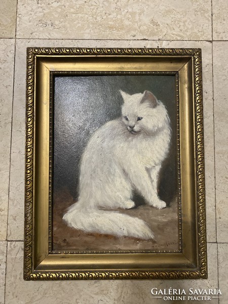 Mesterházy:fehér macska olaj-karton festmény