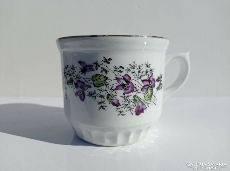 Large bohemian Czech violet porcelain mug