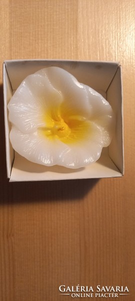 Flower-shaped candle in a box