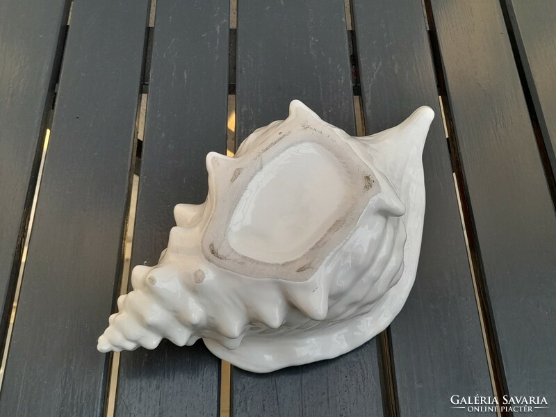 Nagy kagyló porcelán kínáló