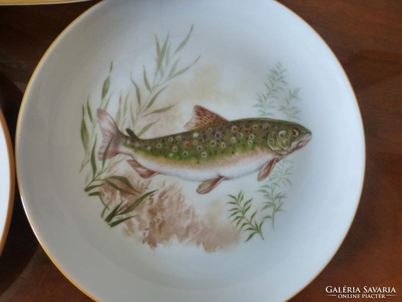 Beautiful fish porcelain tableware