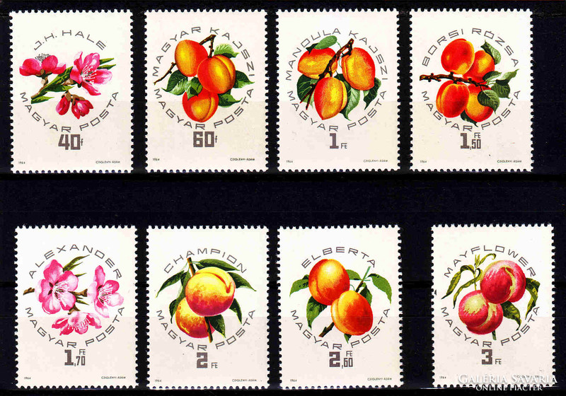 1964 Hungarian peach varieties ¤¤ / row with misprint