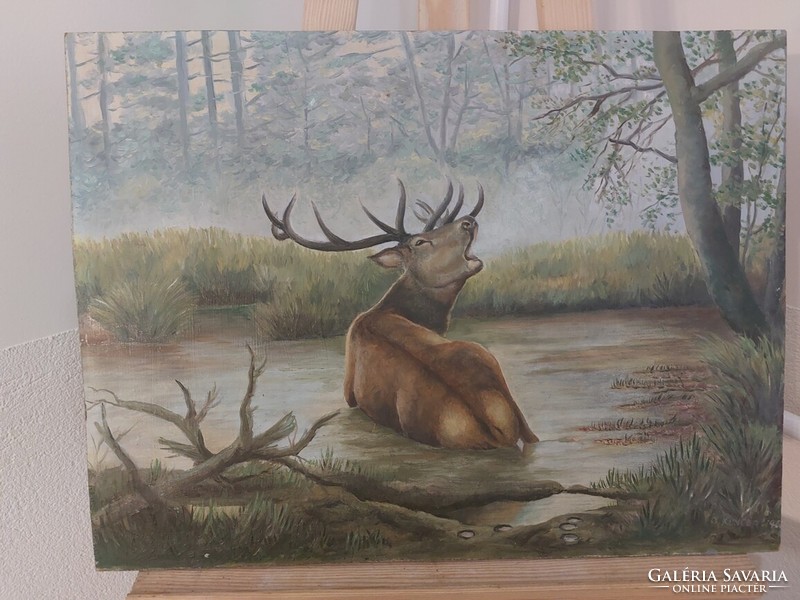 (K) signed stag painting 56x42 cm