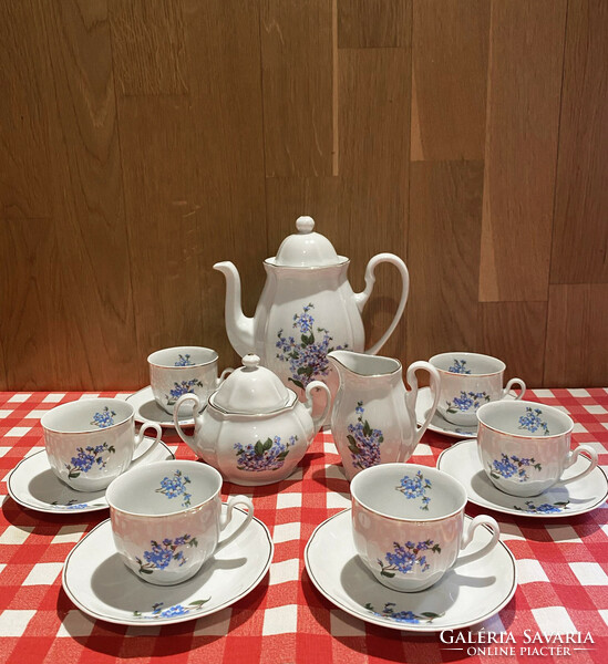 A very nice blue flower pattern decorative Arpo porcelain coffee mocha complete set