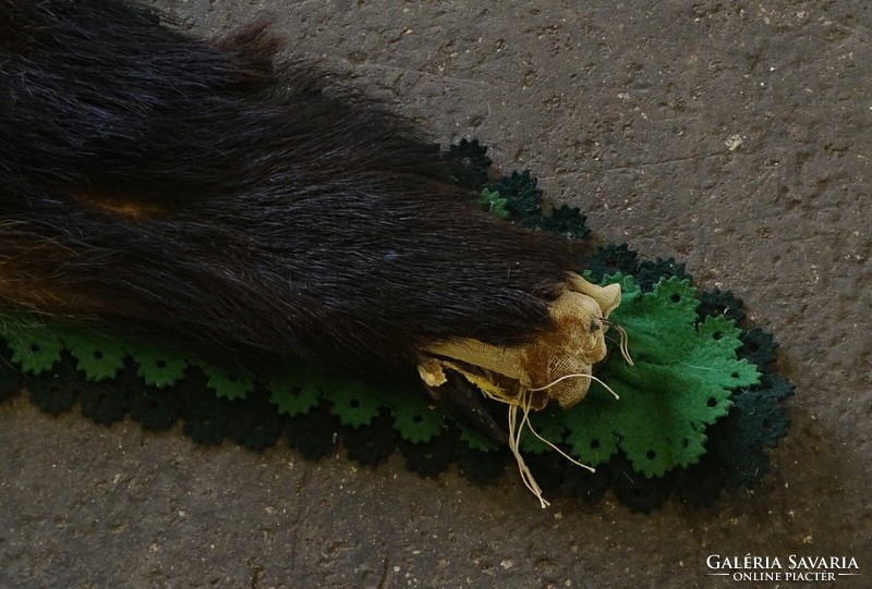 1Q555 Preparált vaddisznó szőr preparátum 215 x 145 cm