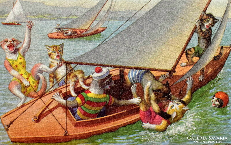Old retro humorous graphic postcard cat - sailing