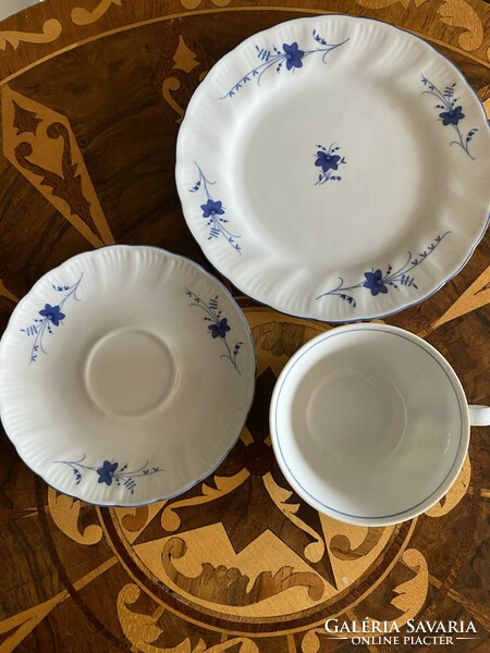 Winterling kirchenlamitz bavaria, retro blue floral porcelain breakfast set