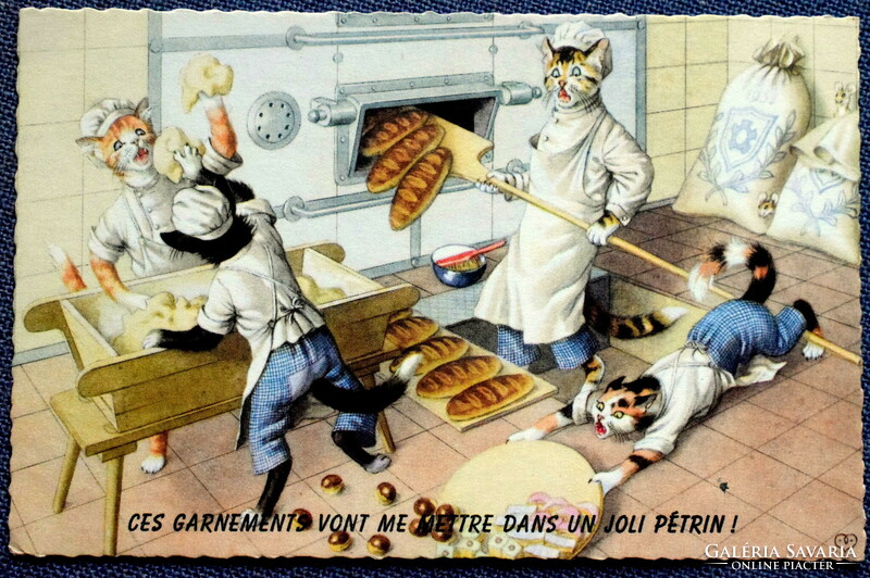 Régi retro humoros grafikus képeslap cica  pékség, kenyérdagasztás