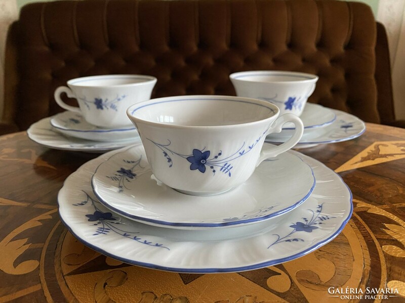 Winterling kirchenlamitz bavaria, retro blue floral porcelain breakfast set