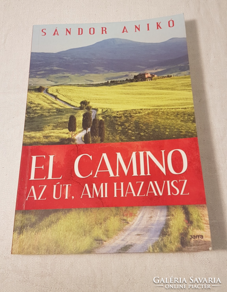 El camino is the road that takes you home by Aniko Sándor