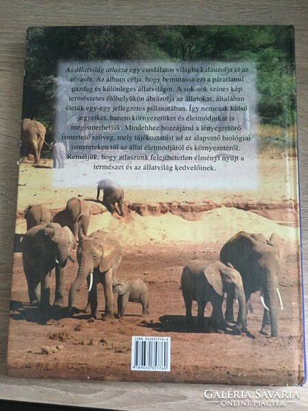 Atlas of the Animal World - Philip Matthews