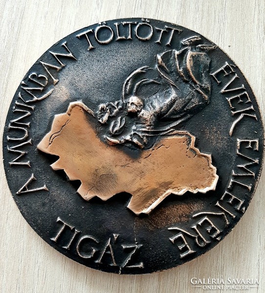 Tigáz commemorating the years spent at work bronze commemorative plaque 9.8 cm in its own box