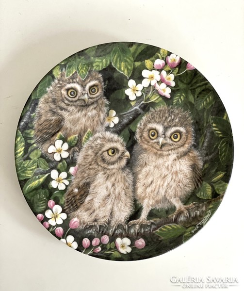 Beautiful Wedgwood English porcelain plate with 3 baby owls 16.5 cm