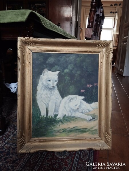 Régi, antik macskás festmény, macska festmény, fehér perzsa/angora