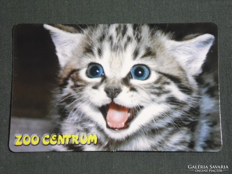 Card calendar, zoo center pet store, goat, cat, kitten, 2008, (6)