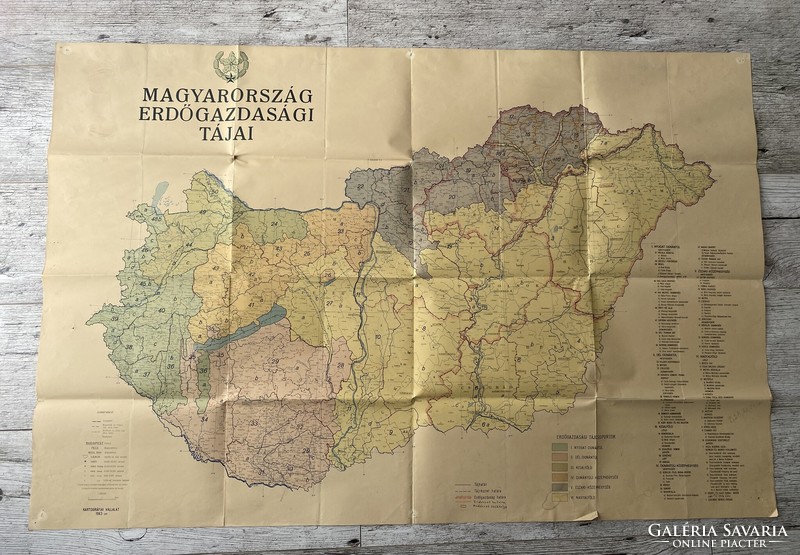 Forestry landscapes of Hungary in 1963