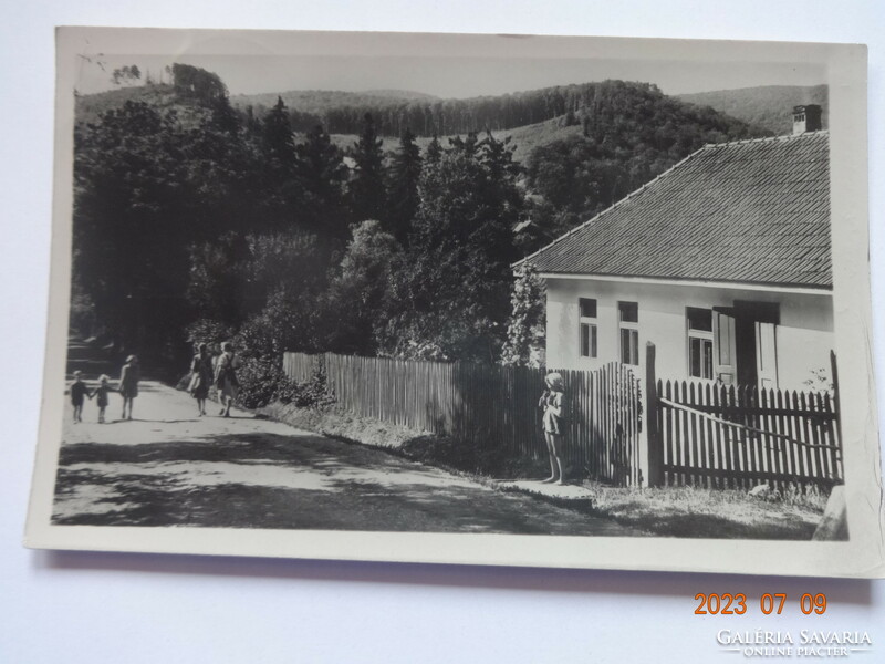 Old postcard: hóllóháza, street section (1956)