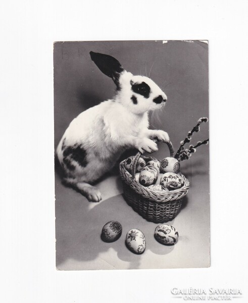 H:06 Easter greeting card