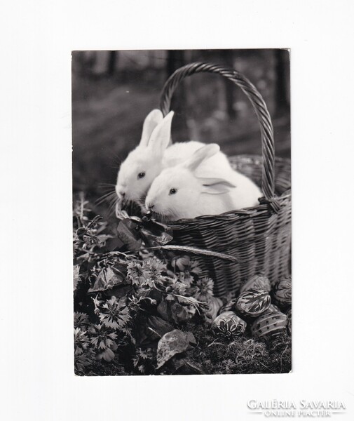 H:06 Easter greeting card