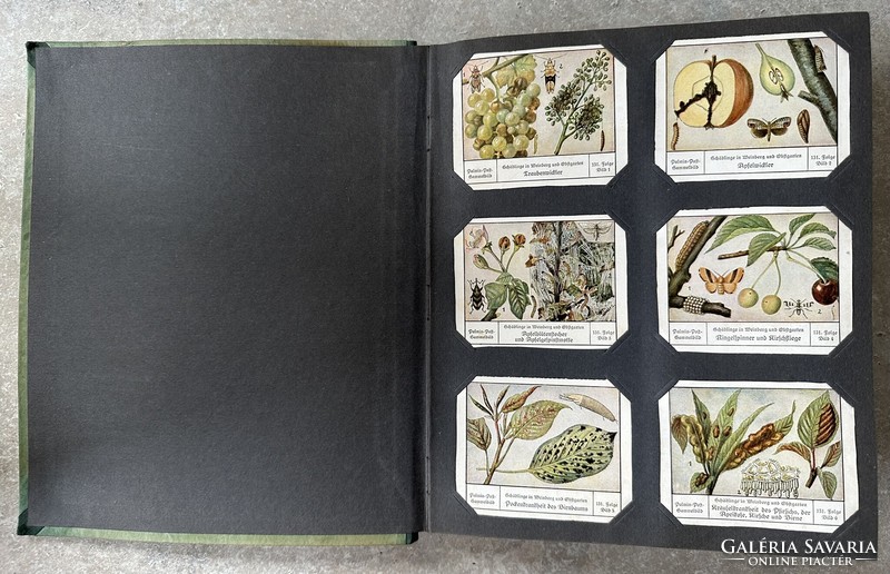 25 oldalon 6 db gyűjthető Palmin margarin kártyával plusz 18 db külön 1930-ból