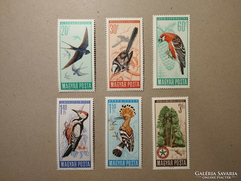 Hungarian nature conservation, birds 1966