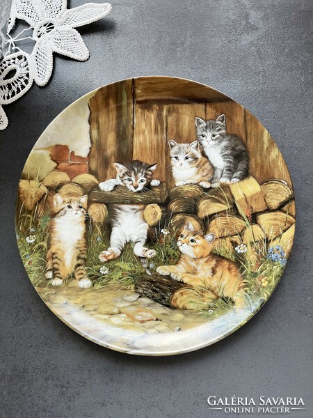 Cat porcelain decorative plate, kitten wall plate - wolfgang kaiser
