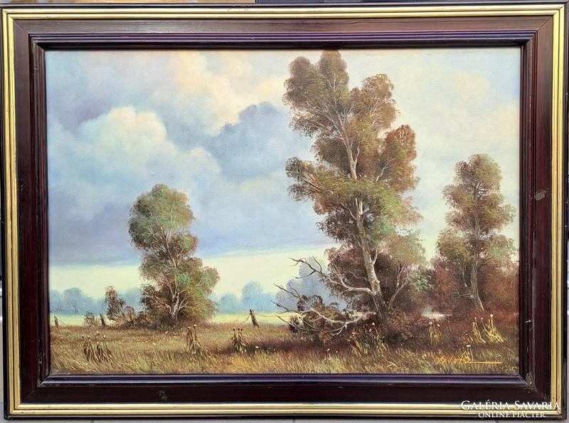Palatin ede (1949-): Tisza floodplain, framed 62x83 cm.
