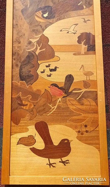 Inlay picture - birds
