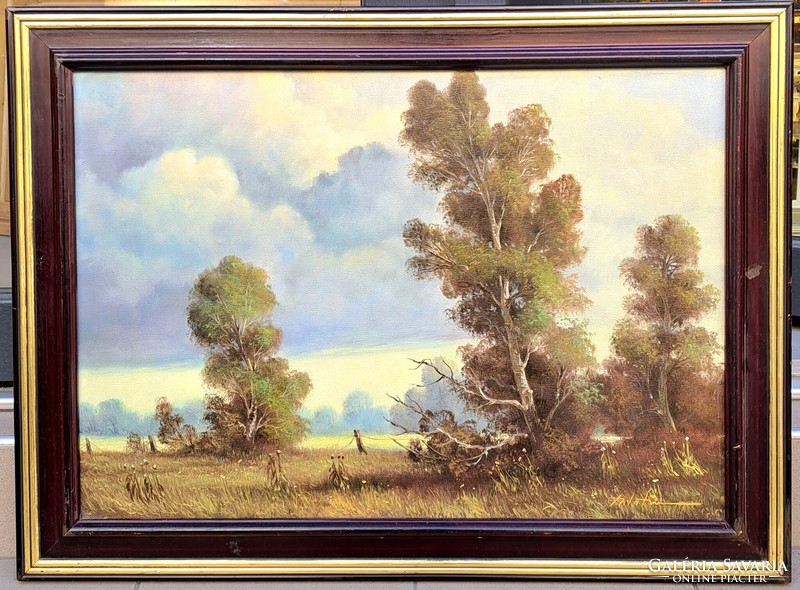 Palatin Ede (1949-) : Tiszai ártér, keretezve 62x83 cm.