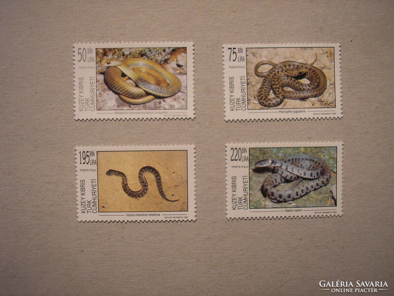 Turkish Republic of Cyprus fauna, snakes 1999