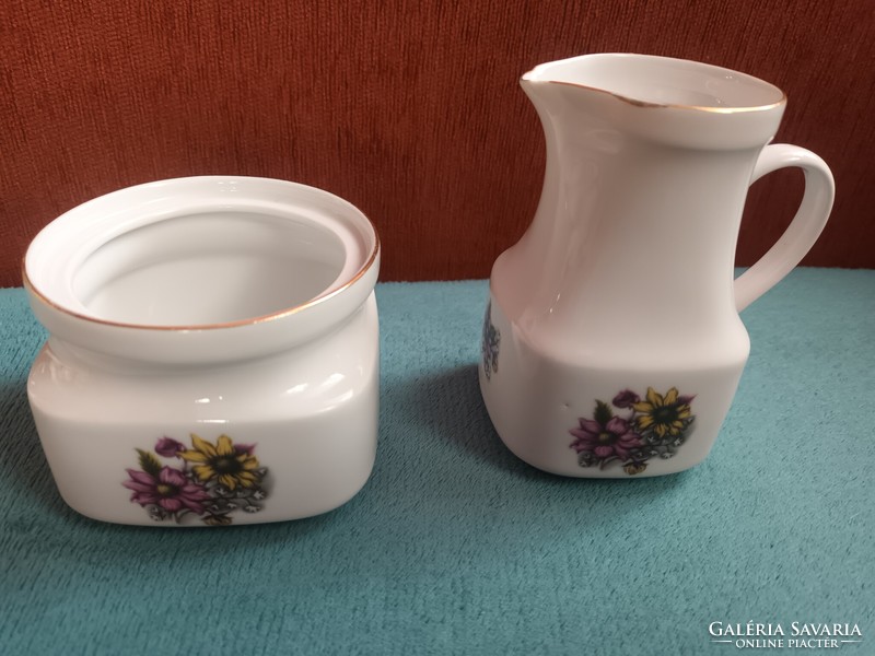 Thun csehszlovák porcelán kávéskészlet elemek, kiegészítők, virágmintás dekorral.