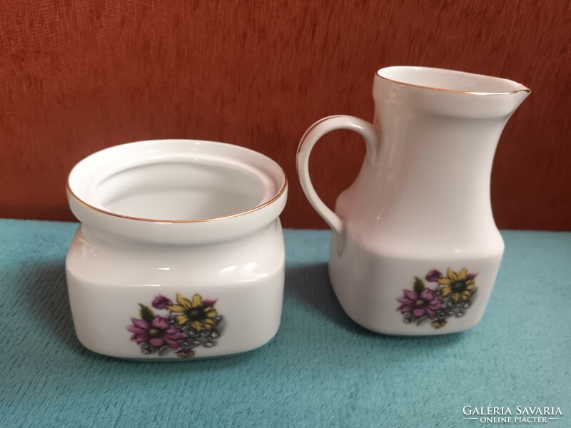 Thun Czechoslovak porcelain coffee set with elements, accessories, floral decor.