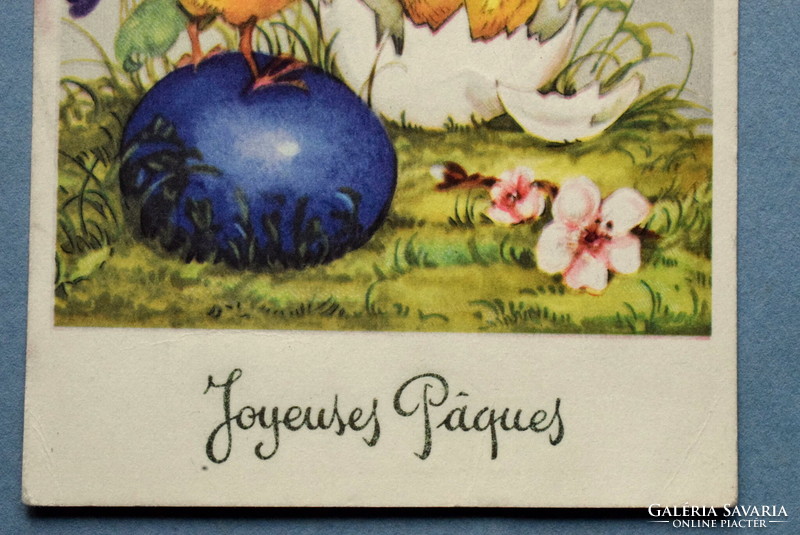 Régi  Húsvéti üdvözlő képeslap   csibék