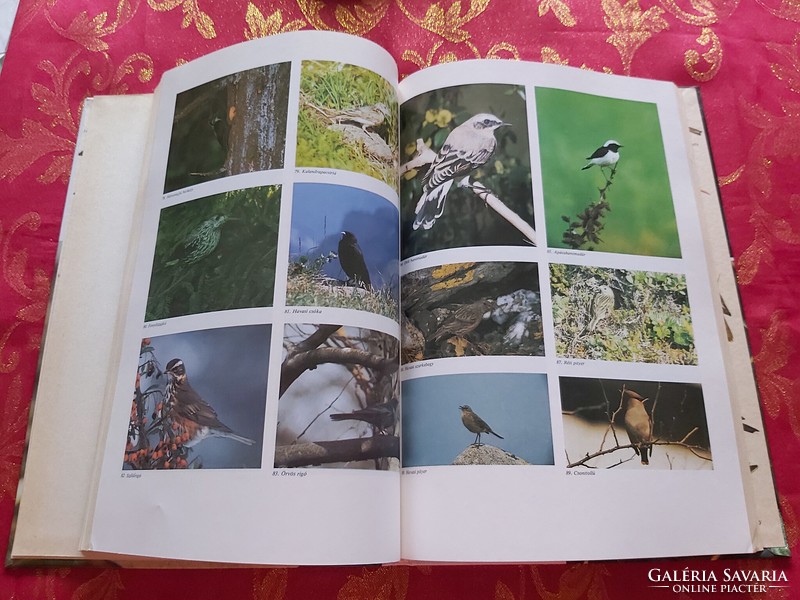 Edited by László Haraszthy: bird guests of Hungary