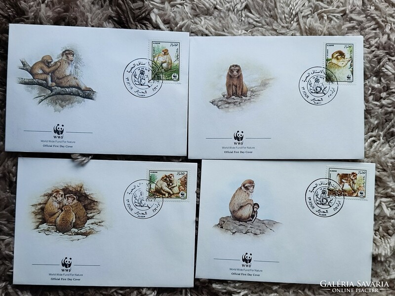 Algeria 4 envelopes with stamps! Monkey!