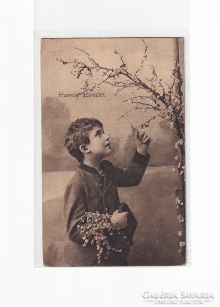 H:121 Antik Húsvéti Üdvözlő képeslap "Fotók"