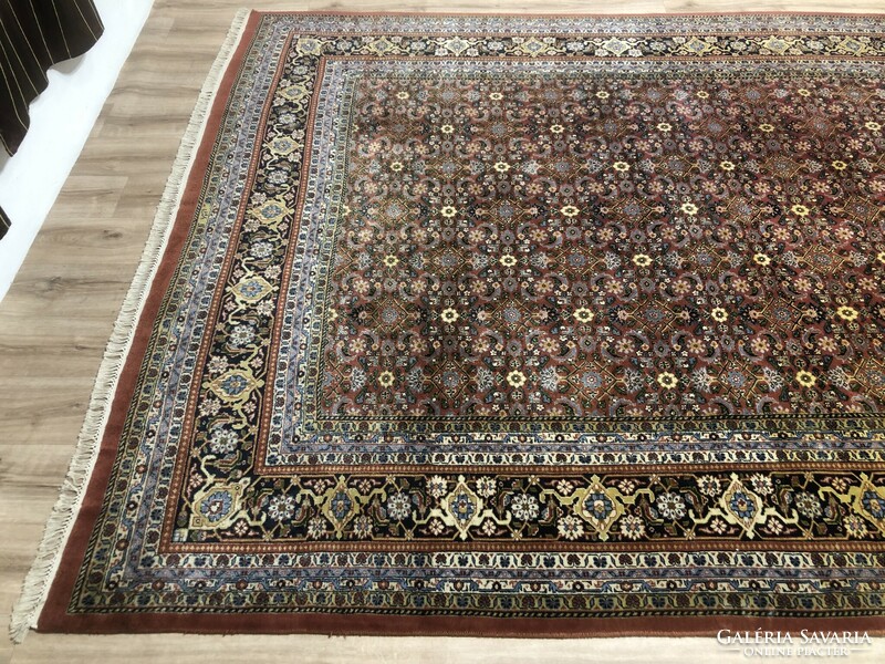 Indo herati - Indian hand-knotted wool Persian rug, 248 x 380 cm