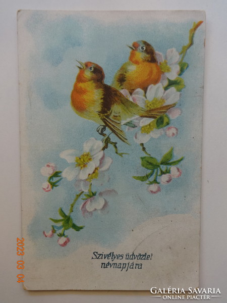 Régi grafikus névnapi üdvözlő képeslap - madarak (1939)