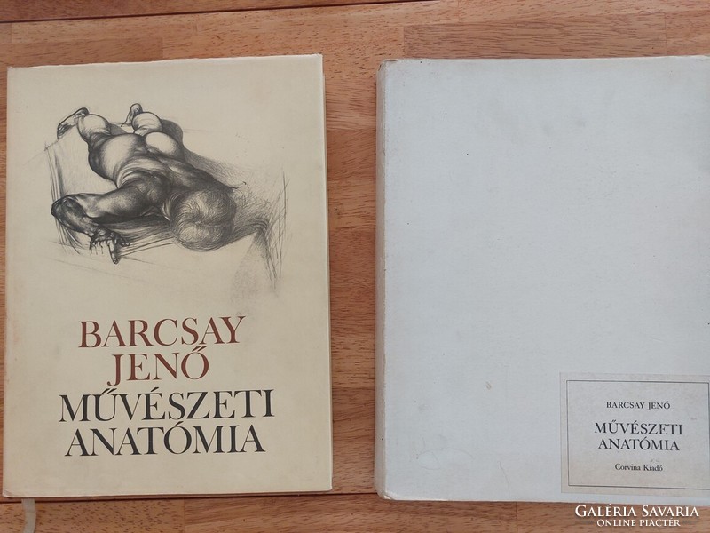 (K) Jenő Barcsay: art anatomy book