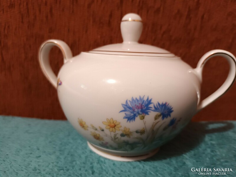 Beautiful Kahla German porcelain sugar bowl with a flower pattern and butterfly