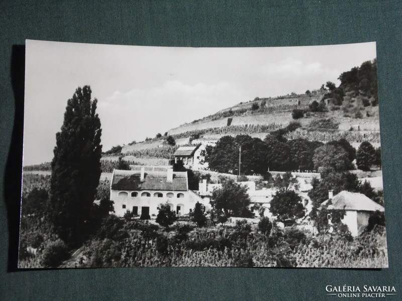Postcard, view of Badacsony, Roza House, Kisfaludy House, Szeged