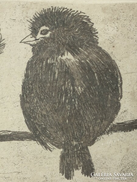 Bird etching
