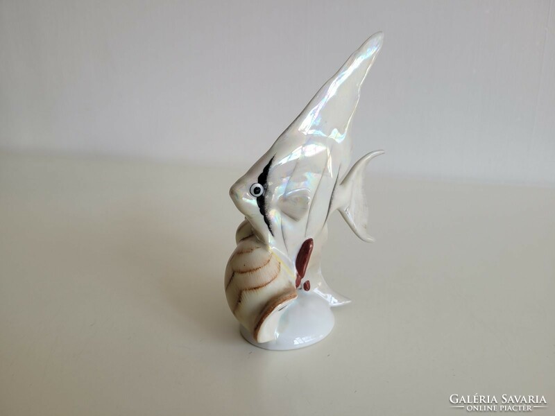 Régi Hollóházi porcelán retro gyöngyházfényű vitorlás hal kagylóval