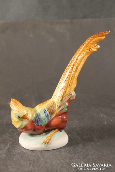 Porcelain on golden pheasant 241