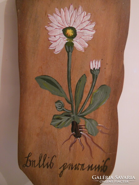 Plant board - wood - 22 x 7 cm - hand painted - old - Austrian - perfect
