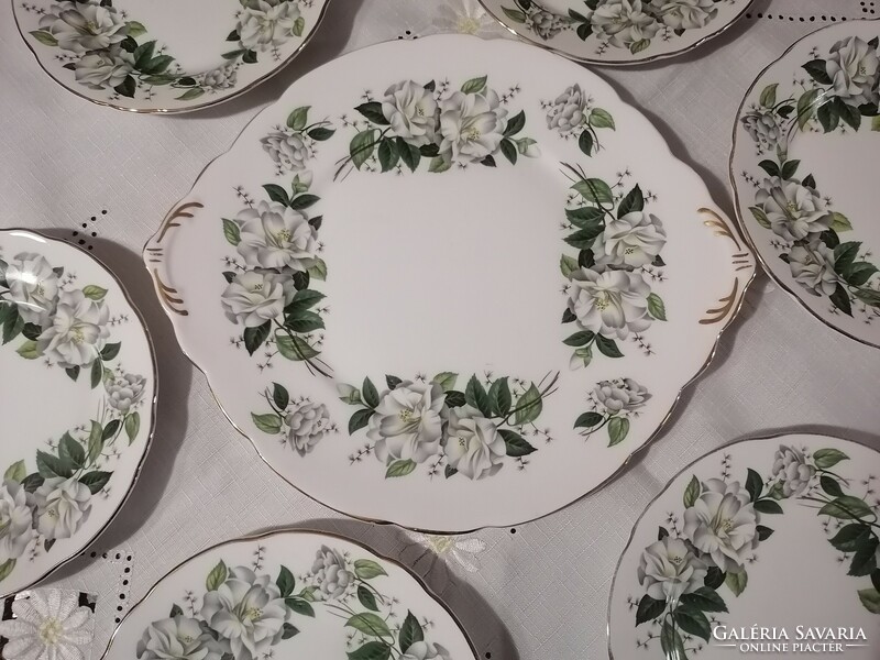 Royal Stafford English porcelain cake set