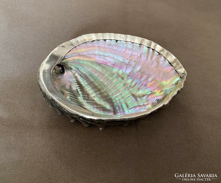 Abalone shells encased in silver, rarity.