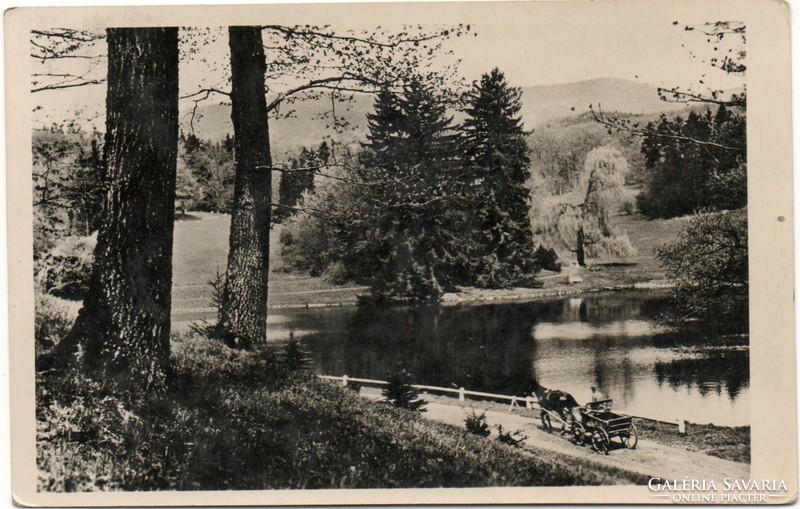 C - 297 printed postcards - lake detail 1949