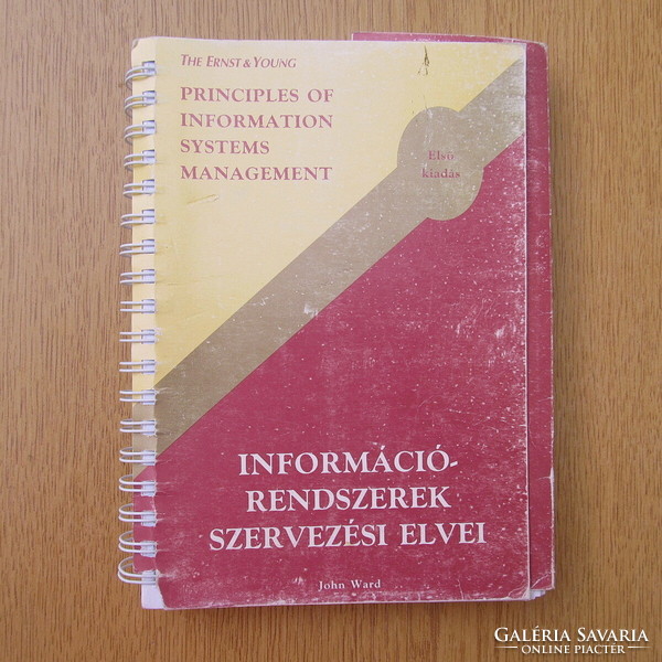 The Ernst & Young  - Információrendszerek szervezési elvei (magyar / angol) első kiadás
