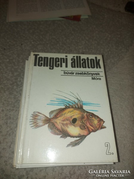 Diver's pocket book, sea animals